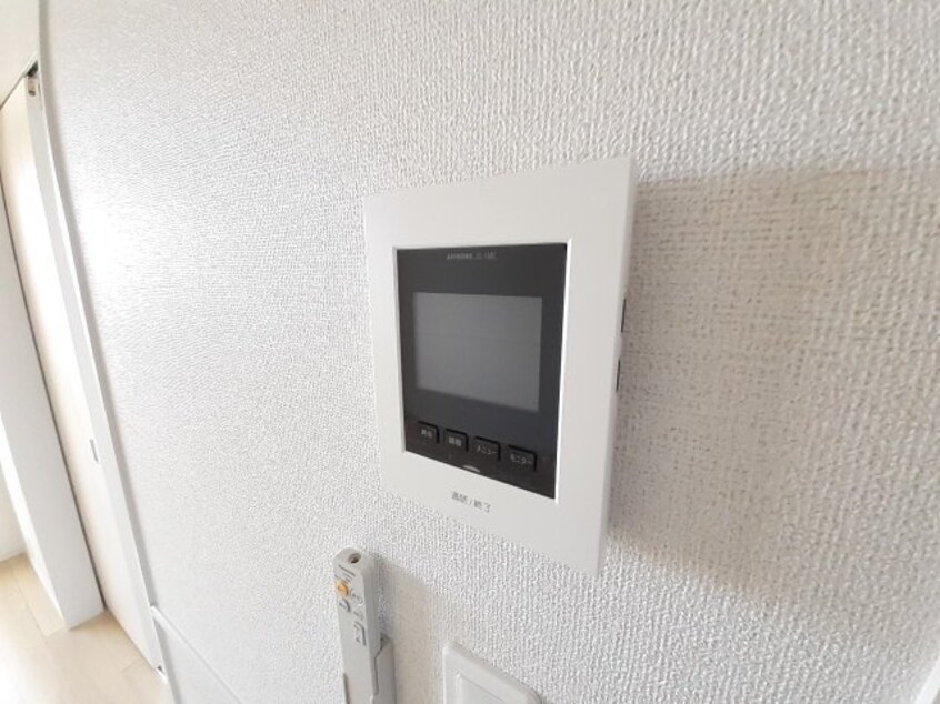 反転参考写真 ルピナス　Ｃ