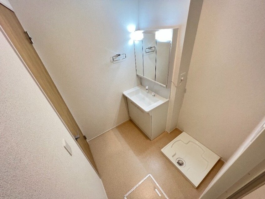 反転参考写真 ルピナス　Ｃ