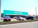 カインズ四日市店(電気量販店/ホームセンター)まで833m ルピナス　Ｃ