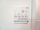 同型参考写真 フェリーチェ