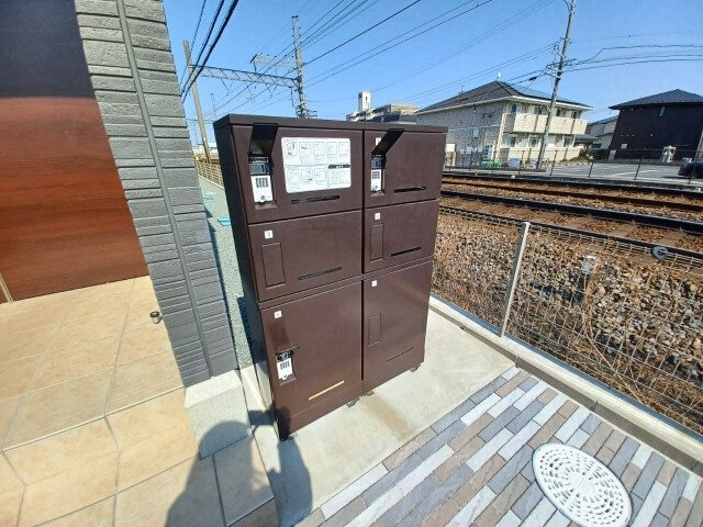  ムーンライト