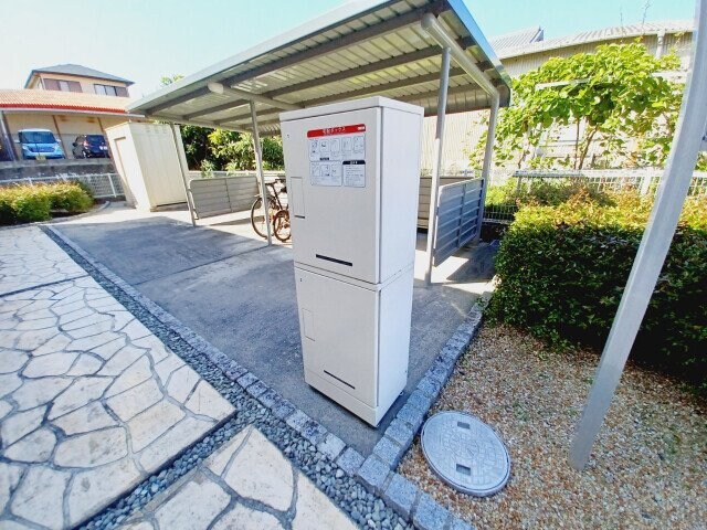  イエローフォレスト