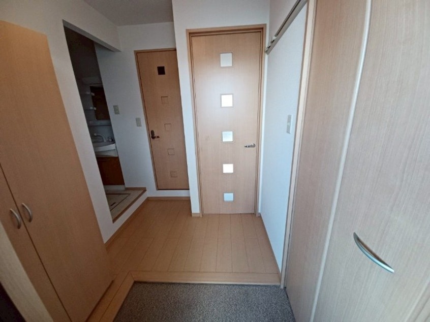 同型参考写真 カモミール