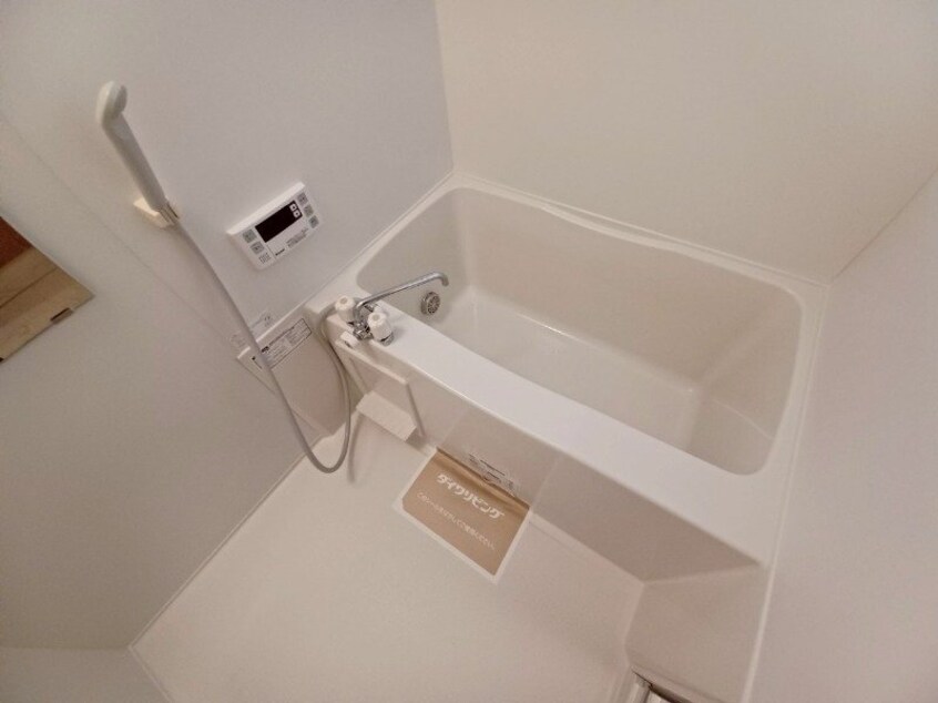 同型参考写真 カモミール