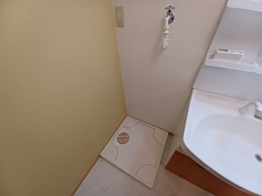 同型参考写真 カモミール