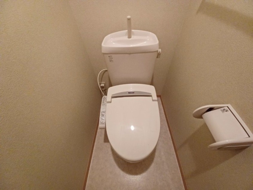 同型参考写真 カモミール