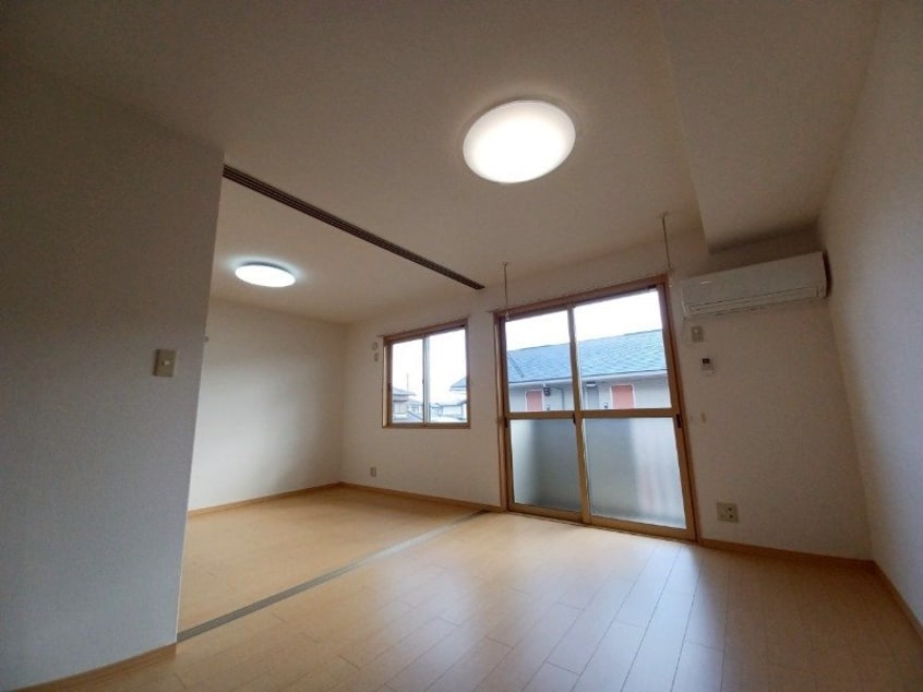 同型参考写真 カモミール