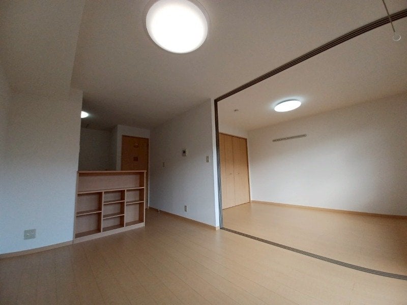 同型参考写真 カモミール