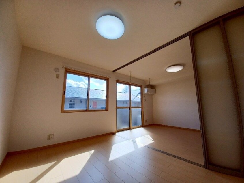 同型参考写真 カモミール