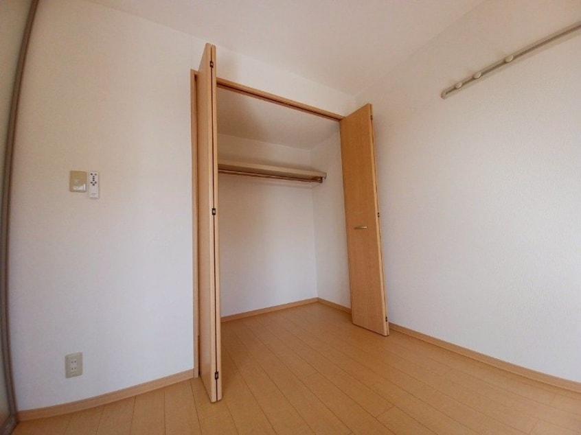 同型参考写真 カモミール