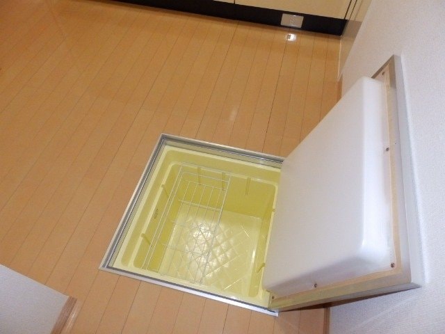 同型参考写真 カモミール