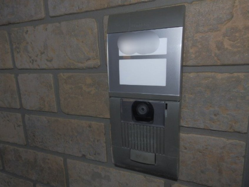 同型参考写真 カモミール