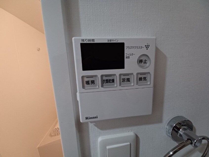 同型参考写真 セレッソ川越