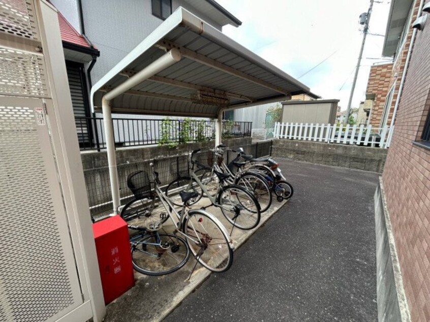  プラムファイン