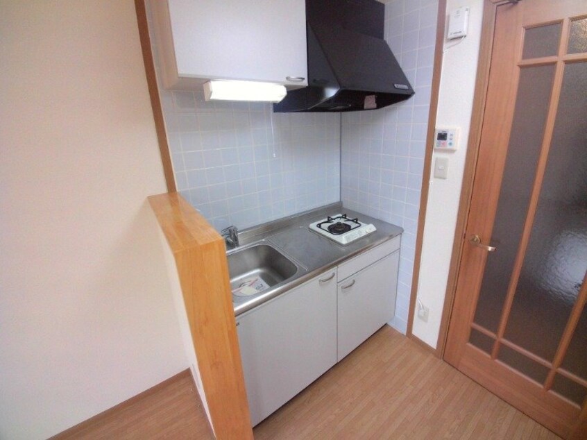 同型参考写真 ガーディアン