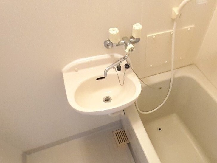 同型参考写真 タウニ－２１