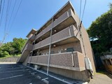 セレッソＩＫＵＷＡ