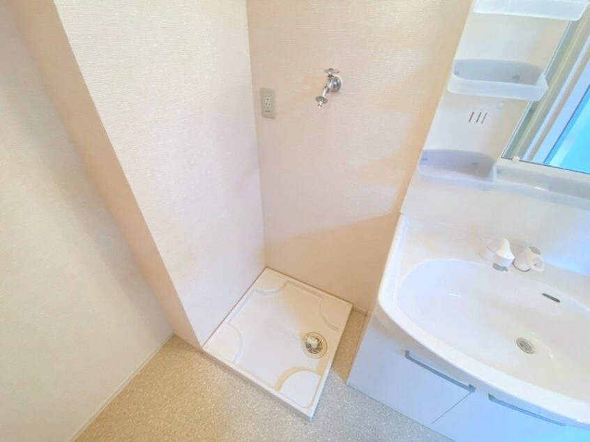 反転タイプ参考写真 ニエット