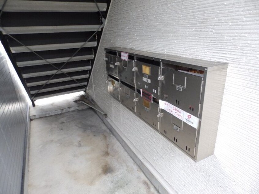  エバーグリーン森