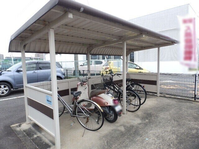  エバーグリーン森