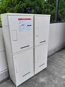  エバーグリーン森