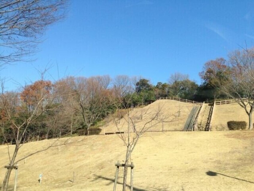 垂坂公園羽津山緑地(公園)まで1618m パティオ西山Ｃ棟