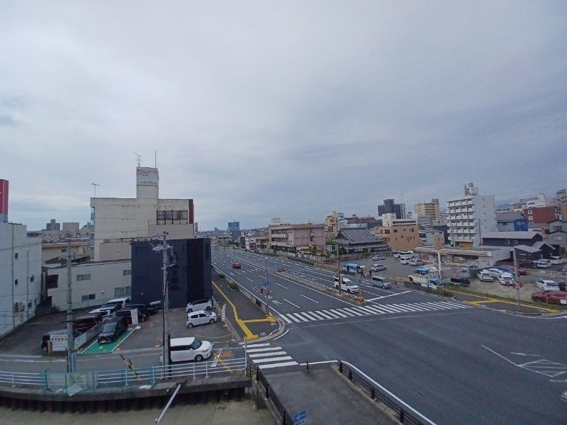 同型参考写真 ブルーボンネット