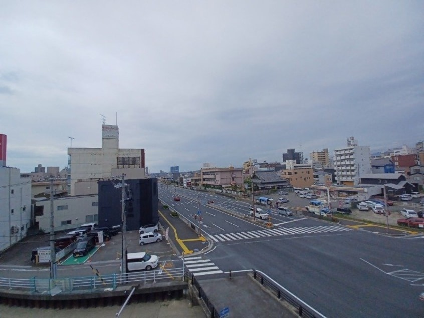 同型参考写真 ブルーボンネット