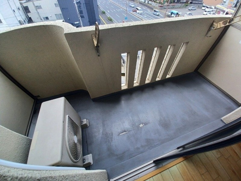 同型参考写真 ブルーボンネット