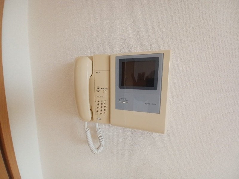 同型参考写真 ブルーボンネット