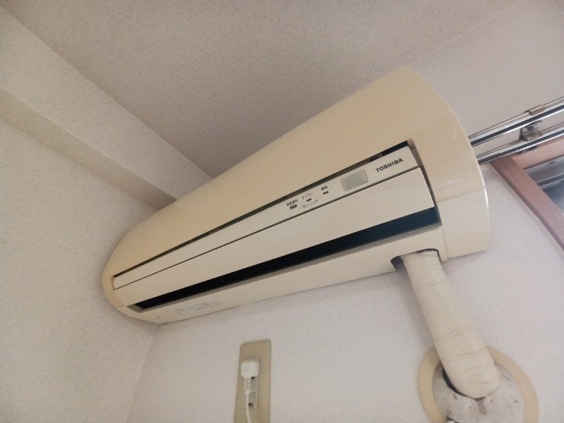 同型参考写真 ブルーボンネット