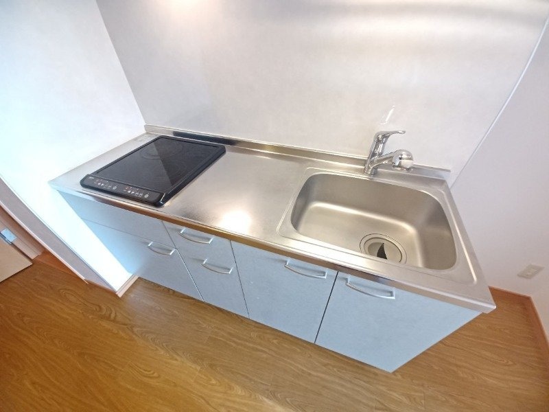 同型参考写真 ブルーボンネット