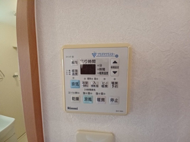 同型参考写真 ブルーボンネット