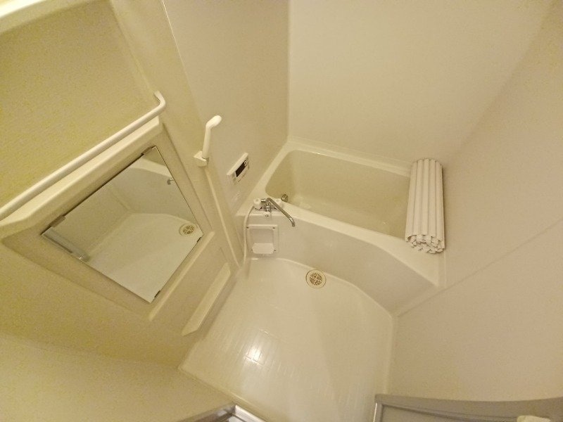 同型参考写真 ブルーボンネット