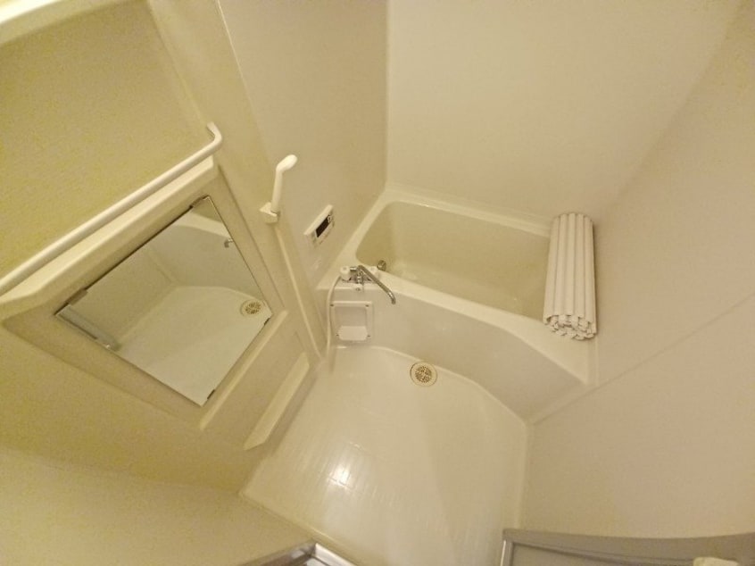 同型参考写真 ブルーボンネット