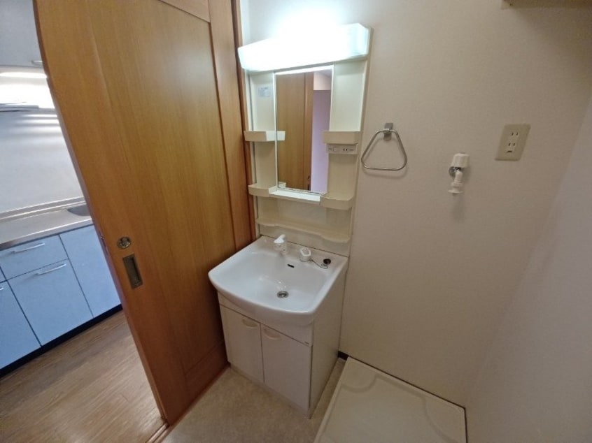 同型参考写真 ブルーボンネット