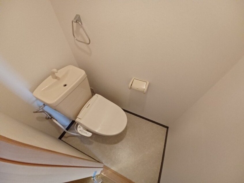 同型参考写真 ブルーボンネット