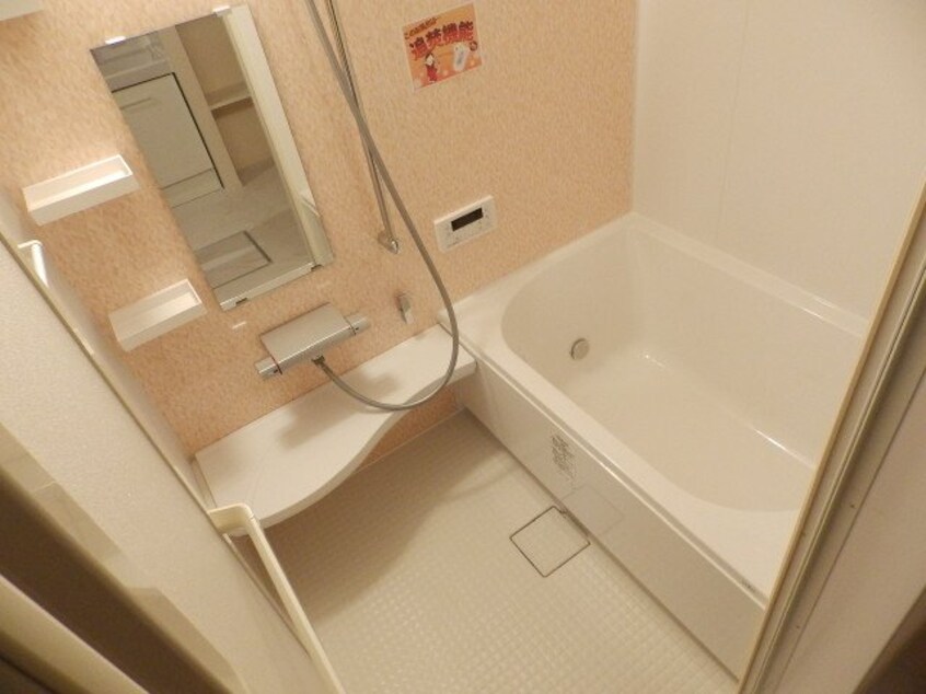 同型参考写真 カマラ