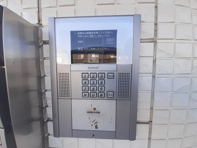  ウィルモアグッドラックⅤ