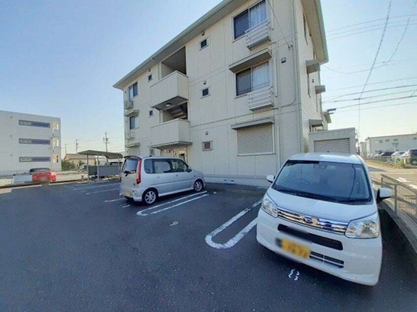  ウィルモアグッドラックⅤ