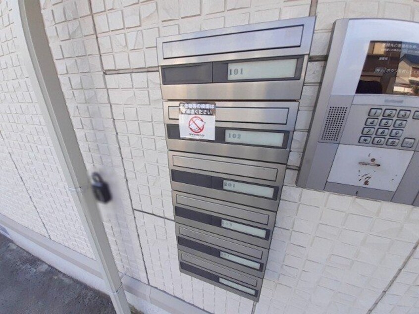  ウィルモアグッドラックⅤ