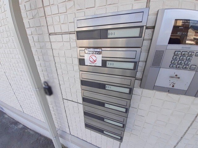  ウィルモアグッドラックⅤ