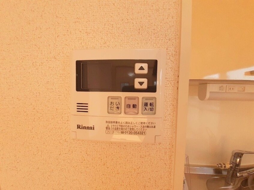 同型反転参考写真 ウィルモアグッドラックⅤ