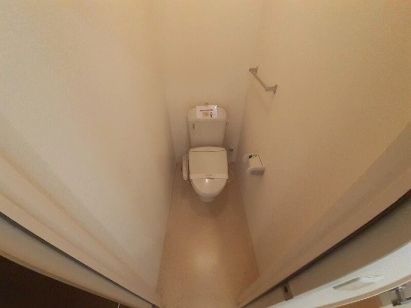 同型反転参考写真 ウィルモアグッドラックⅤ