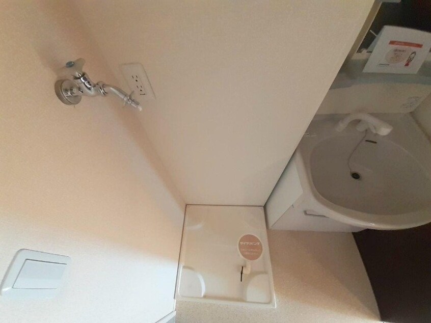 同型反転参考写真 ウィルモアグッドラックⅤ