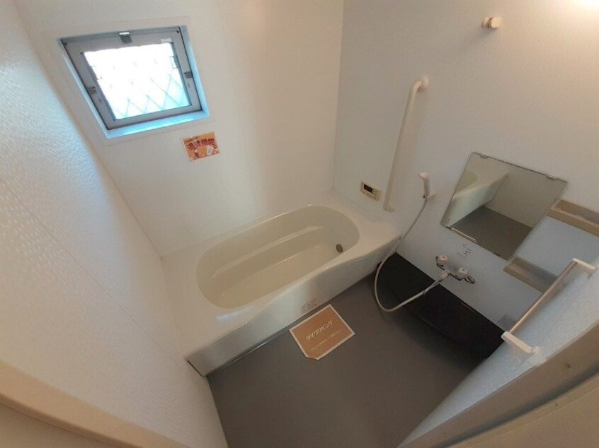 同型反転参考写真 ウィルモアグッドラックⅤ