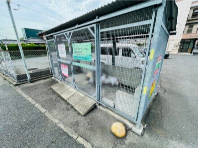  シャトル光