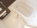 同型参考写真 プラシード　キャトル