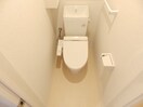 同型参考写真 プラシード　キャトル