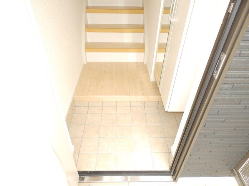 同型参考写真 プラシード　キャトル